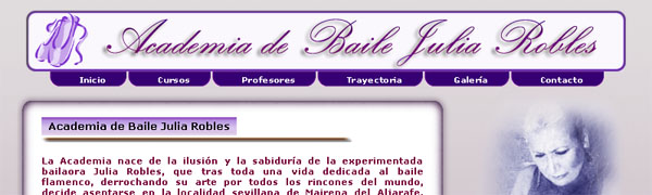 Academia Julia Robles Web