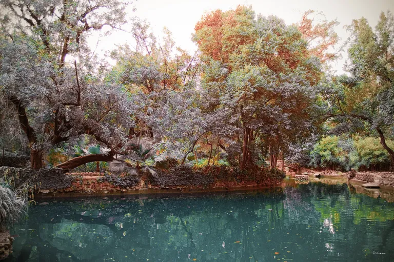 Naturaleza Idílica